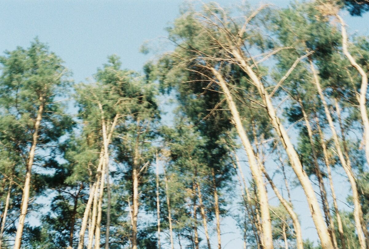R1-02464-007A