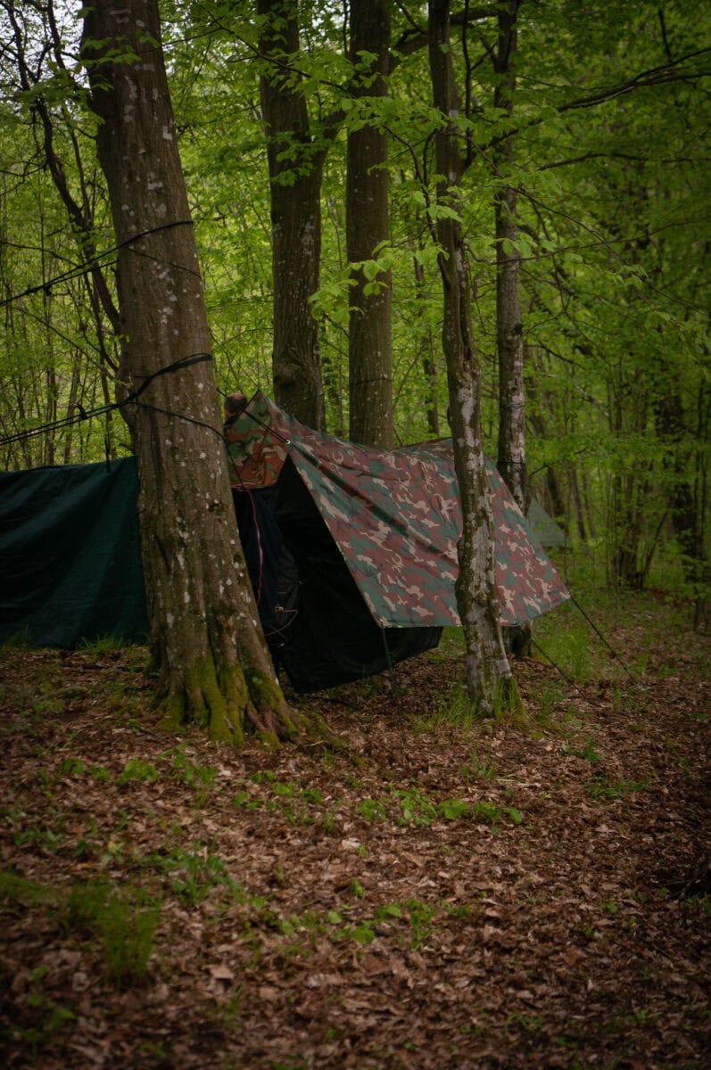 _DSC0533