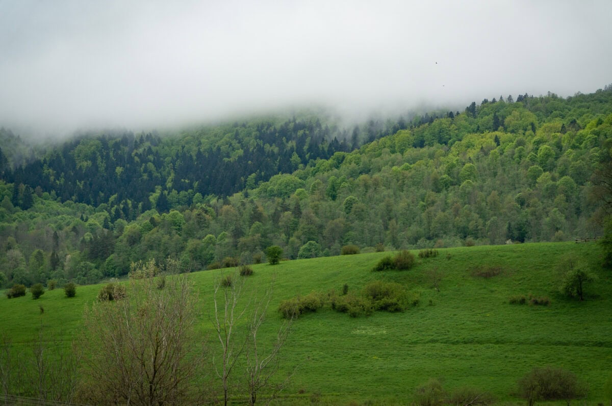 _DSC0813